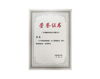 2019年自主創新榮譽證書